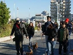 6img331.jpg