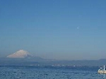 7img332.jpg
