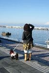 9img435.jpg