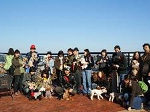 15img441.jpg