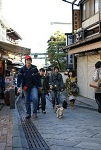 19img445.jpg