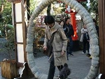 30img456.jpg