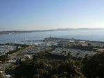 35img461.jpg
