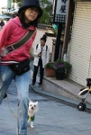 25img451.jpg