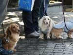 39img465.jpg