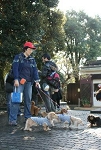 40img466.jpg