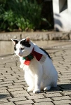 43img469.jpg
