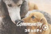 signこみゅ.png