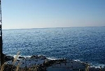 江ノ島2.jpg