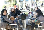 img486.jpg