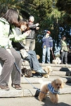 img496.jpg