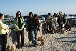 img638.jpg
