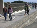 img642.jpg