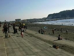img645.jpg