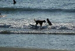 img647.jpg