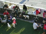 img653.jpg