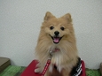 東山ユキ.jpg