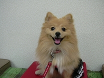 東山ユキ.jpg